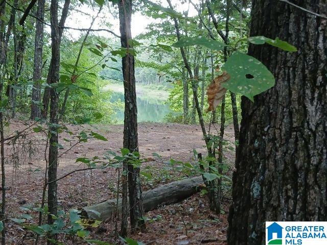 105 POINT AQUARIUS 22