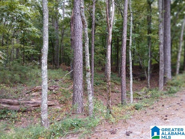 105 POINT AQUARIUS 22