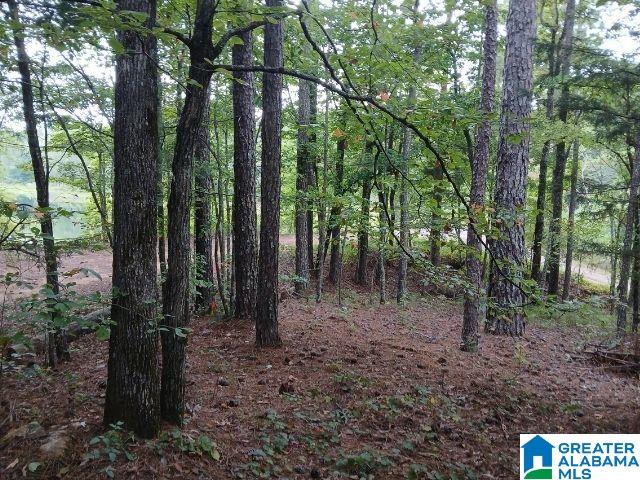 105 POINT AQUARIUS 22