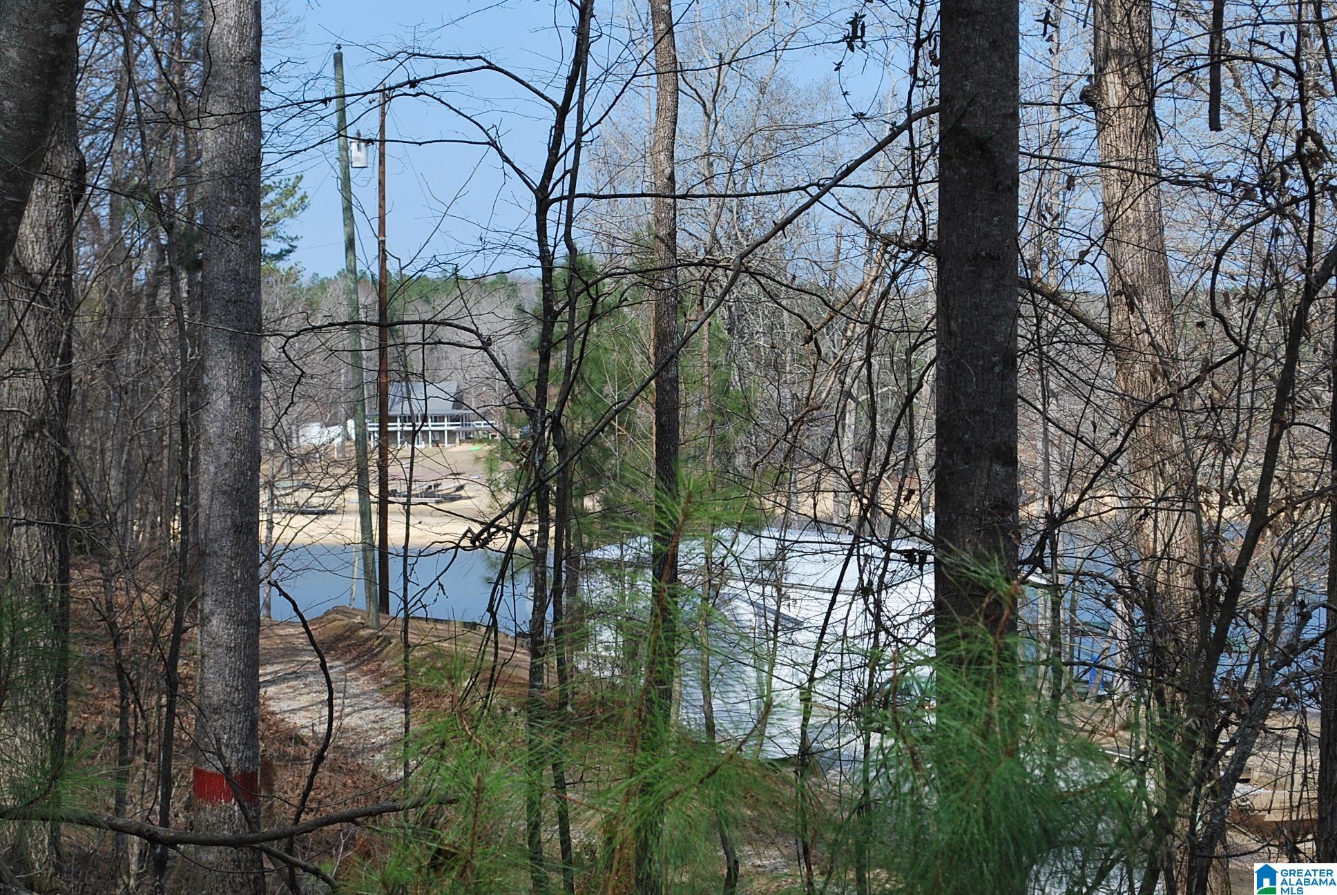 COUNTY ROAD 8023 8 acres