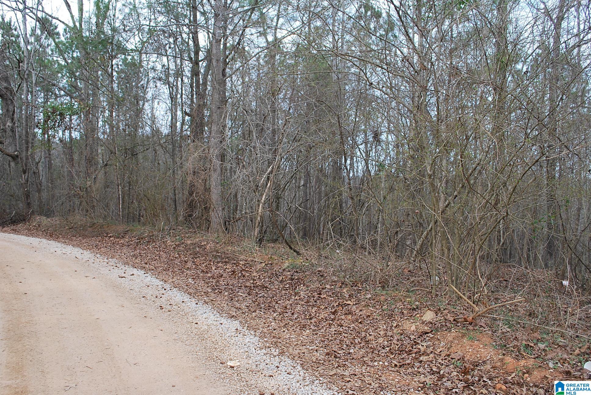 COUNTY ROAD 8023 8 acres
