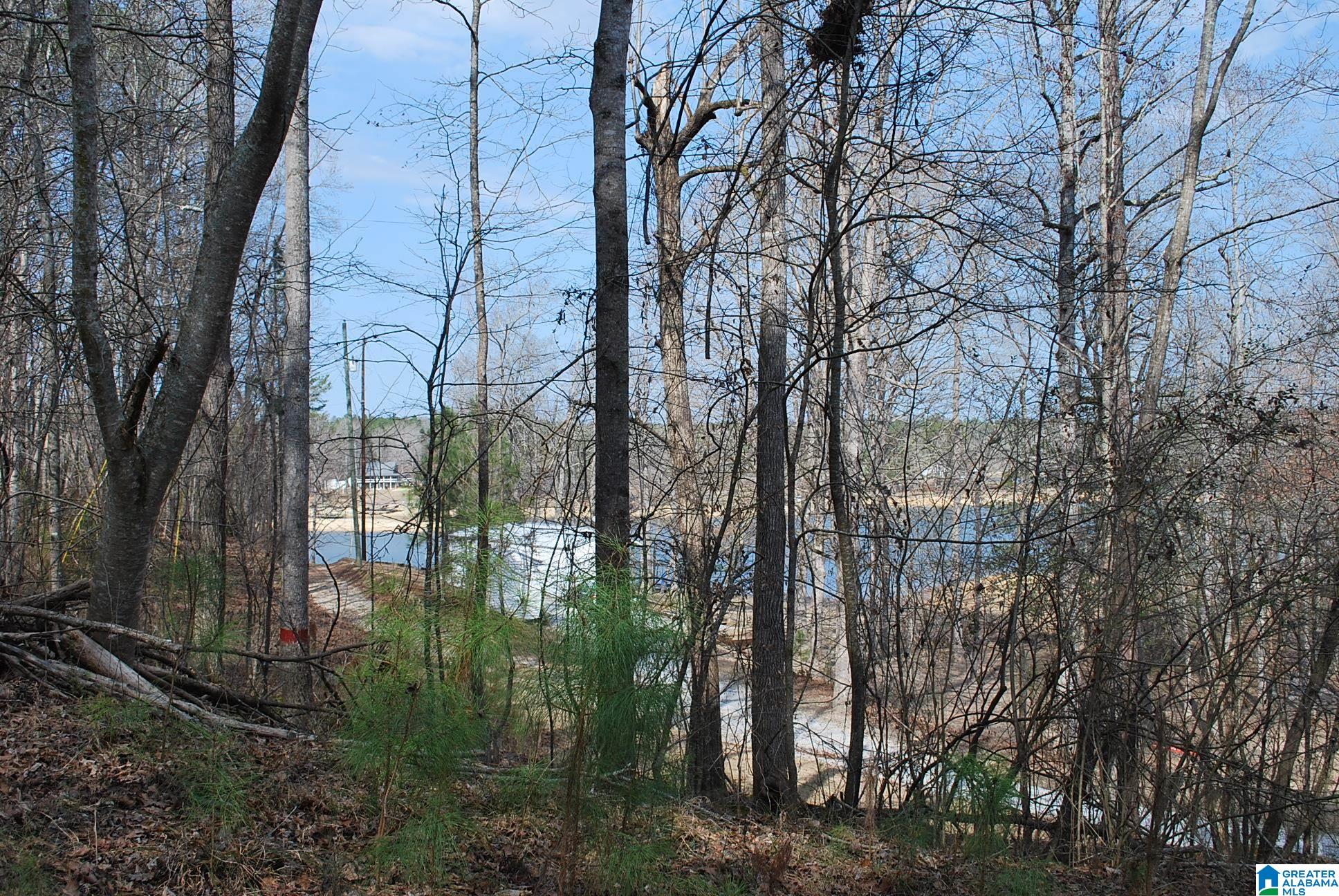COUNTY ROAD 8023 8 acres