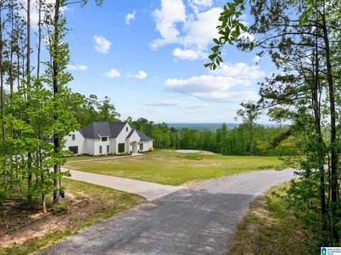 122 SPRING WATER FARMS HELENA AL 35022