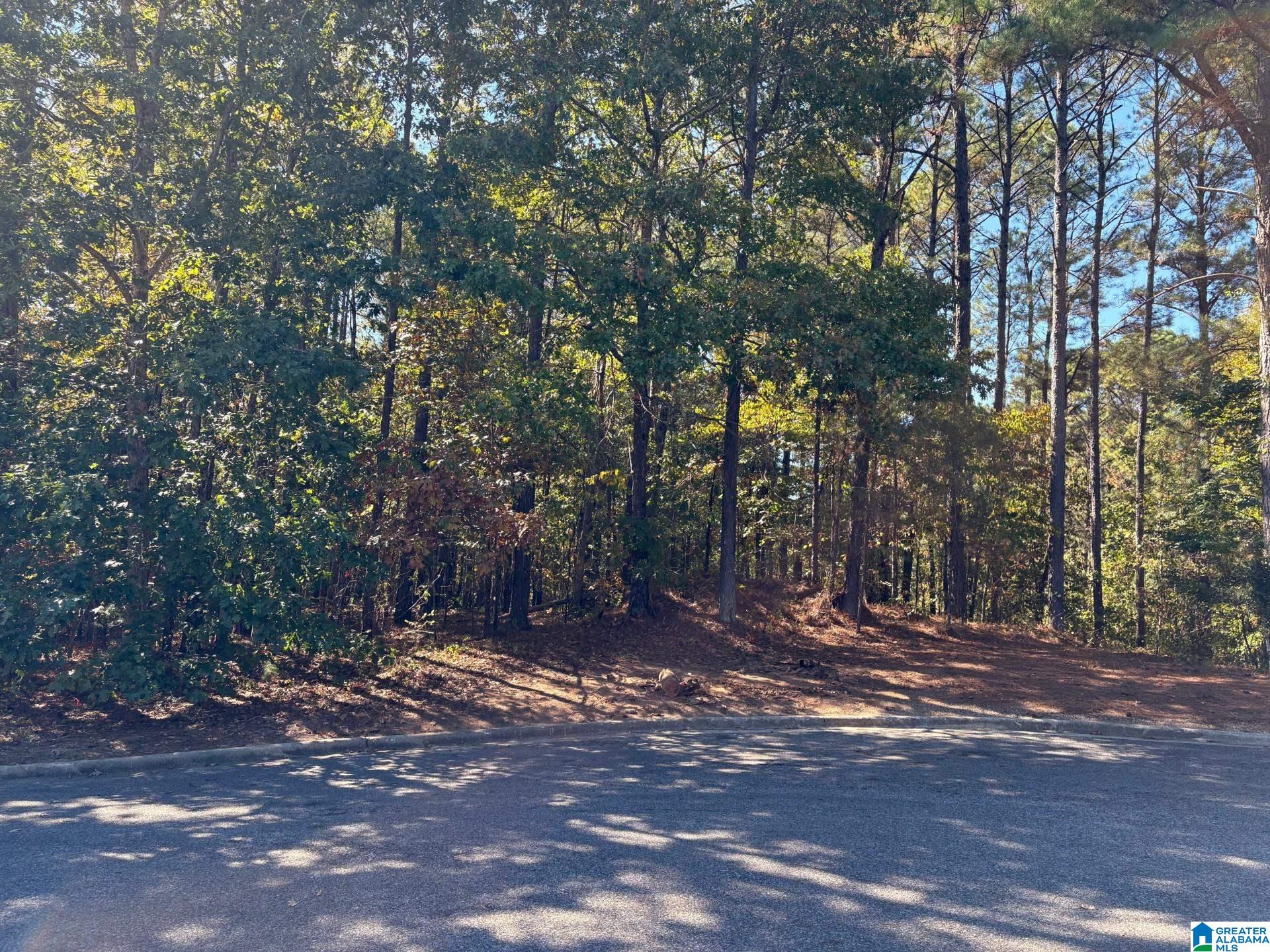 339 ALTA VISTA DRIVE 27