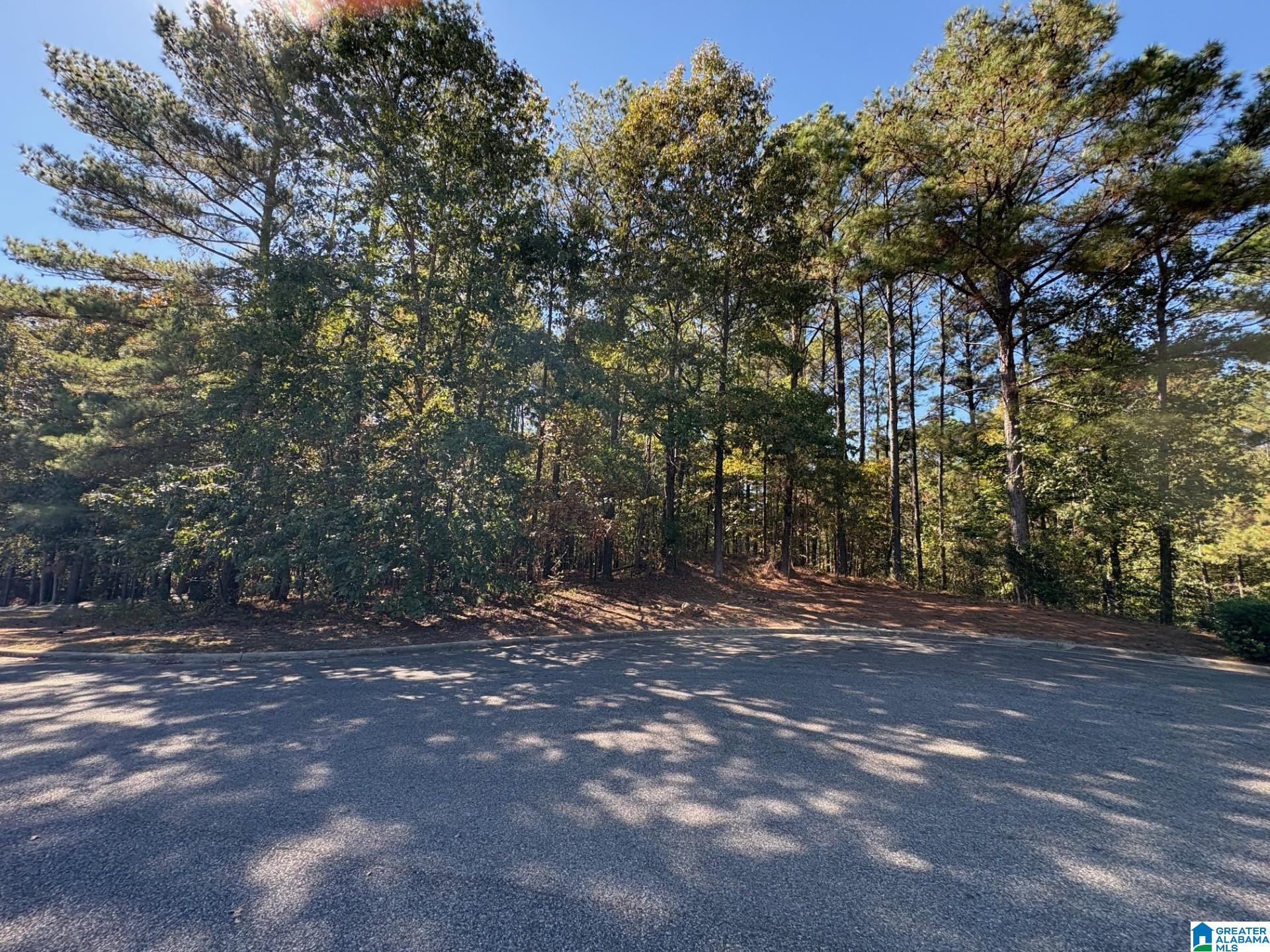 339 ALTA VISTA DRIVE 27