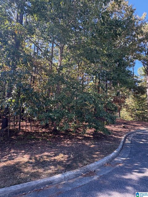 339 ALTA VISTA DRIVE 27 CHELSEA AL 35043