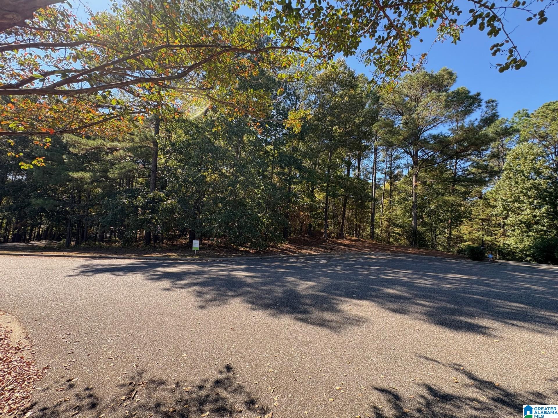 339 ALTA VISTA DRIVE 27