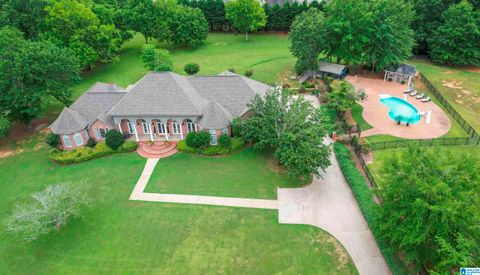 310 BRANHAM DRIVE SPRINGVILLE AL 35146