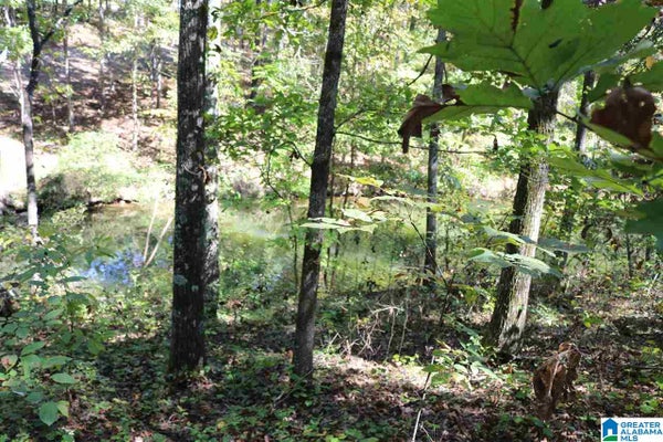 42 FISHER WAY # 42, VINCENT, AL 35178 - Image 0703d2de3cb99b97c14f7d56a72ffe83/2584855397
