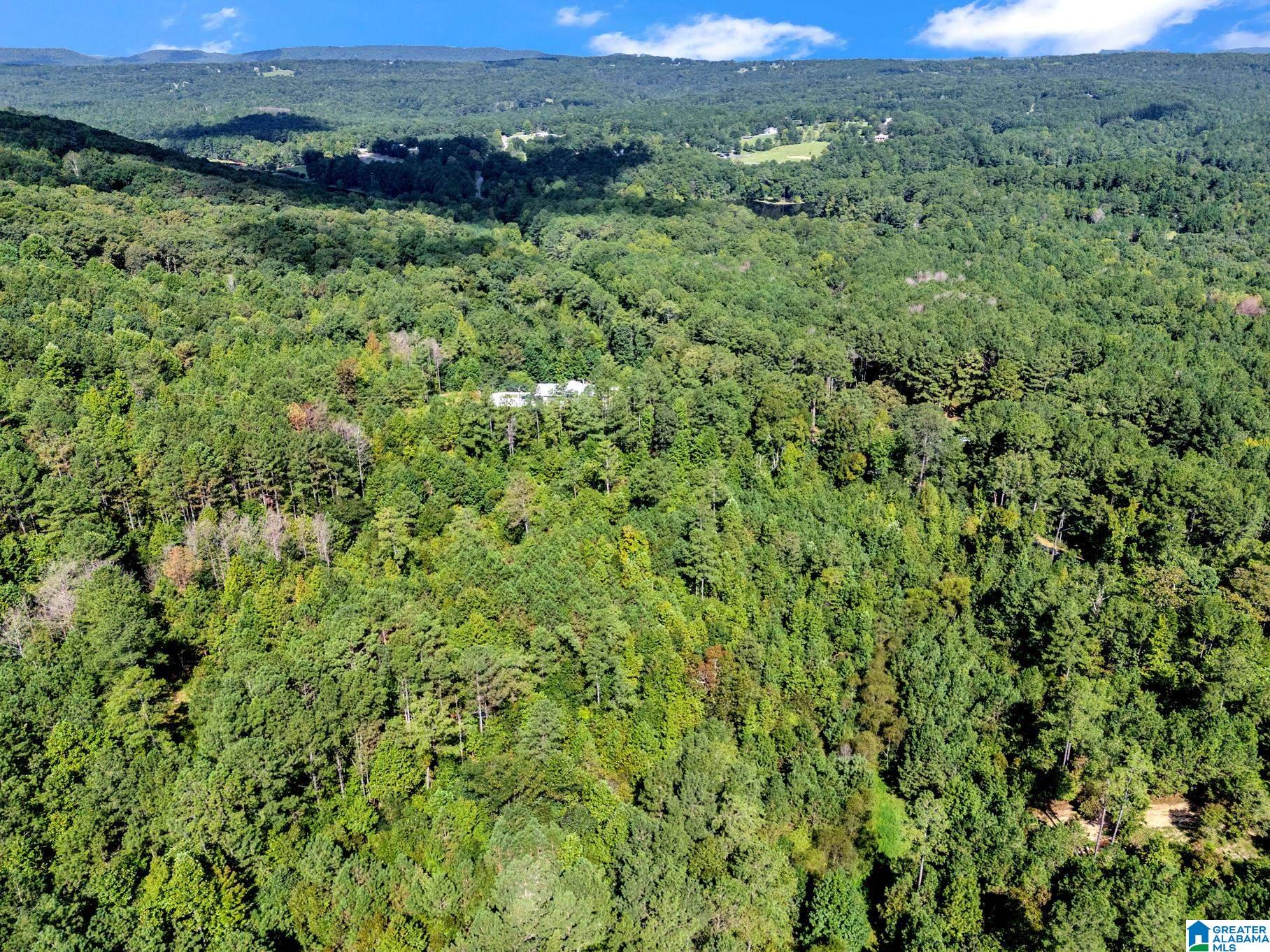 0 MOUNTAIN VIEW ROAD 4