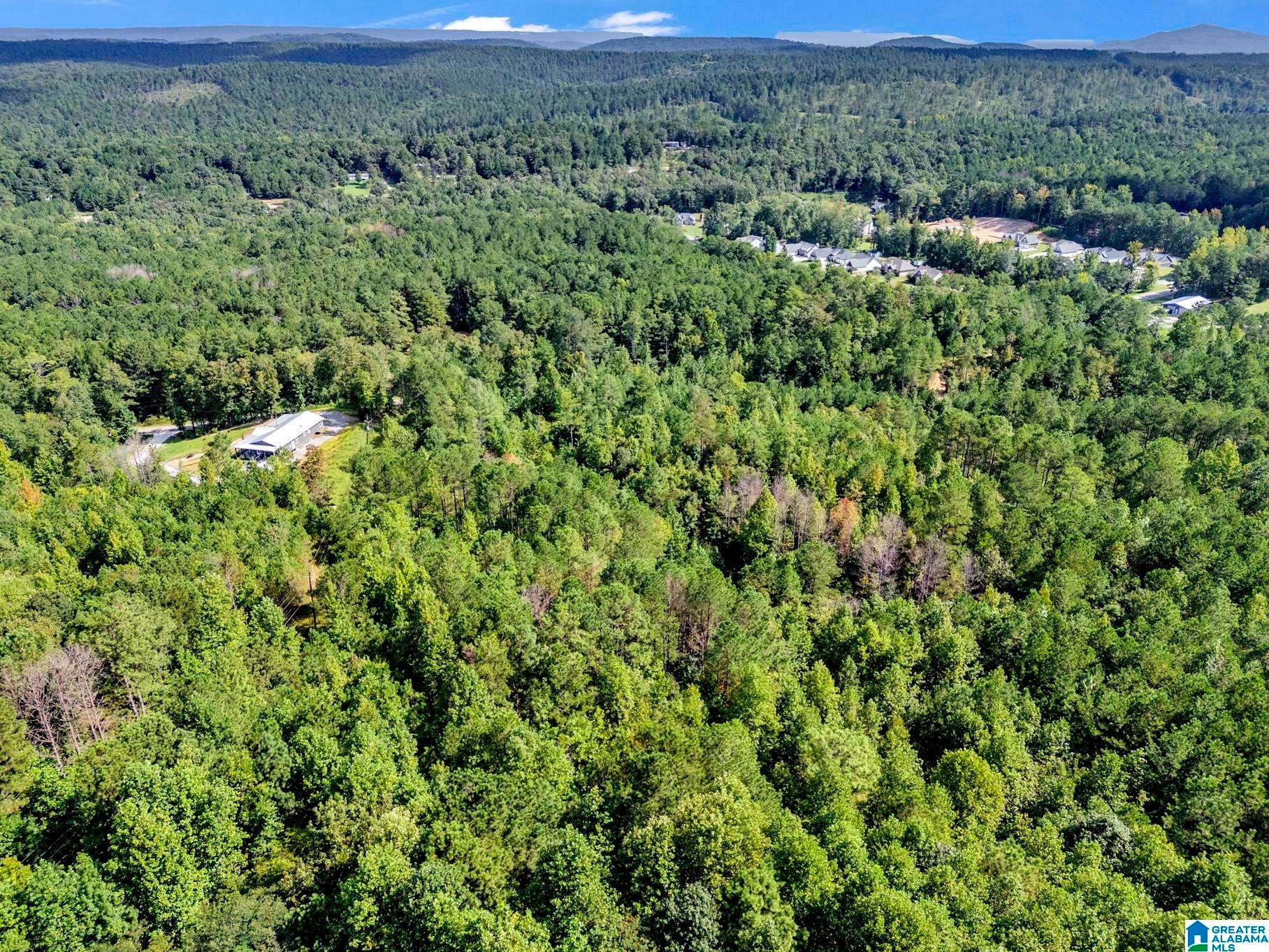 0 MOUNTAIN VIEW ROAD 4