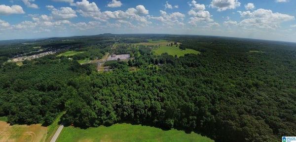 9914 WALL TRIANA HWY, TONEY, AL 35773 - Image 079c39db8c8757383a3b2263c3fa8a30/3218463593