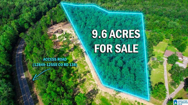 COUNTY RD 138, BAY MINETTE, AL 36507 - Image 07da2e0e9fb7f5853b9e3c981dbbcbfc/3780160288