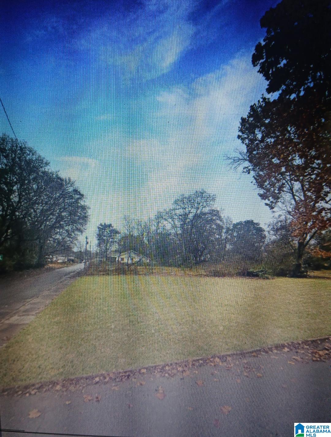 Photo 1 of 1 — 2520 12TH AVENUE N 1, BESSEMER, AL 35020