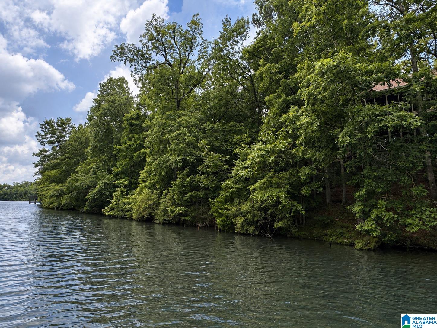 Lot 10 COUNTY ROAD 2565 10
