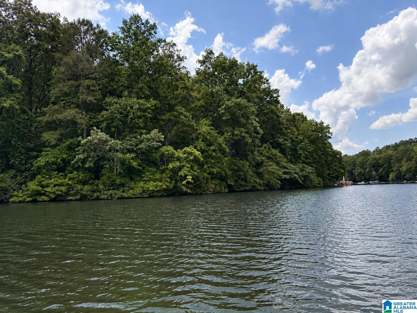 Lot 10 COUNTY ROAD 2565 10