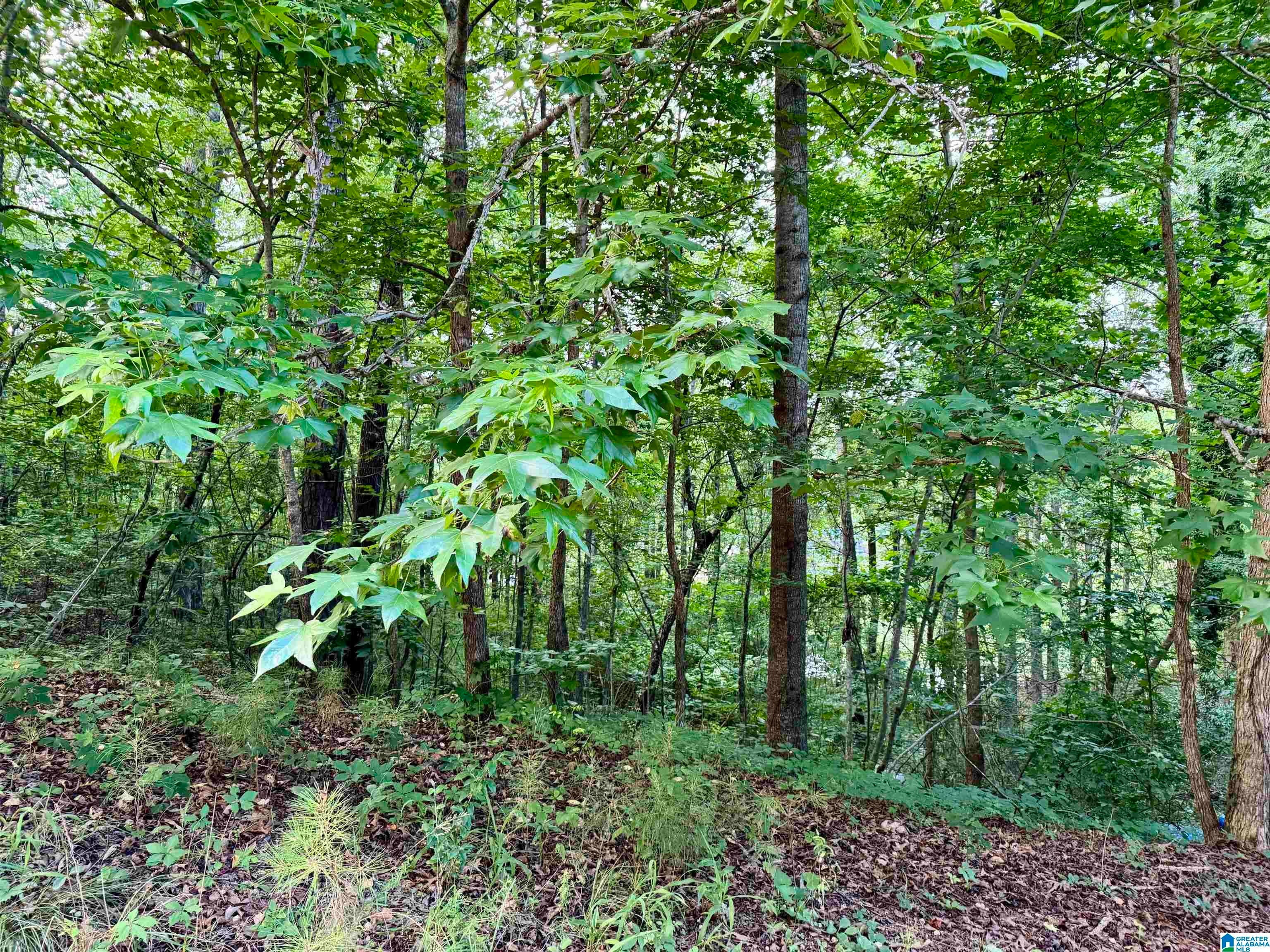 Lot 10 COUNTY ROAD 2565 10