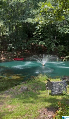 155 QUAIL RIDGE RD, ODENVILLE, AL 35120 - Image 082d2ccbc80f96378aa265b430c52a68/20978294