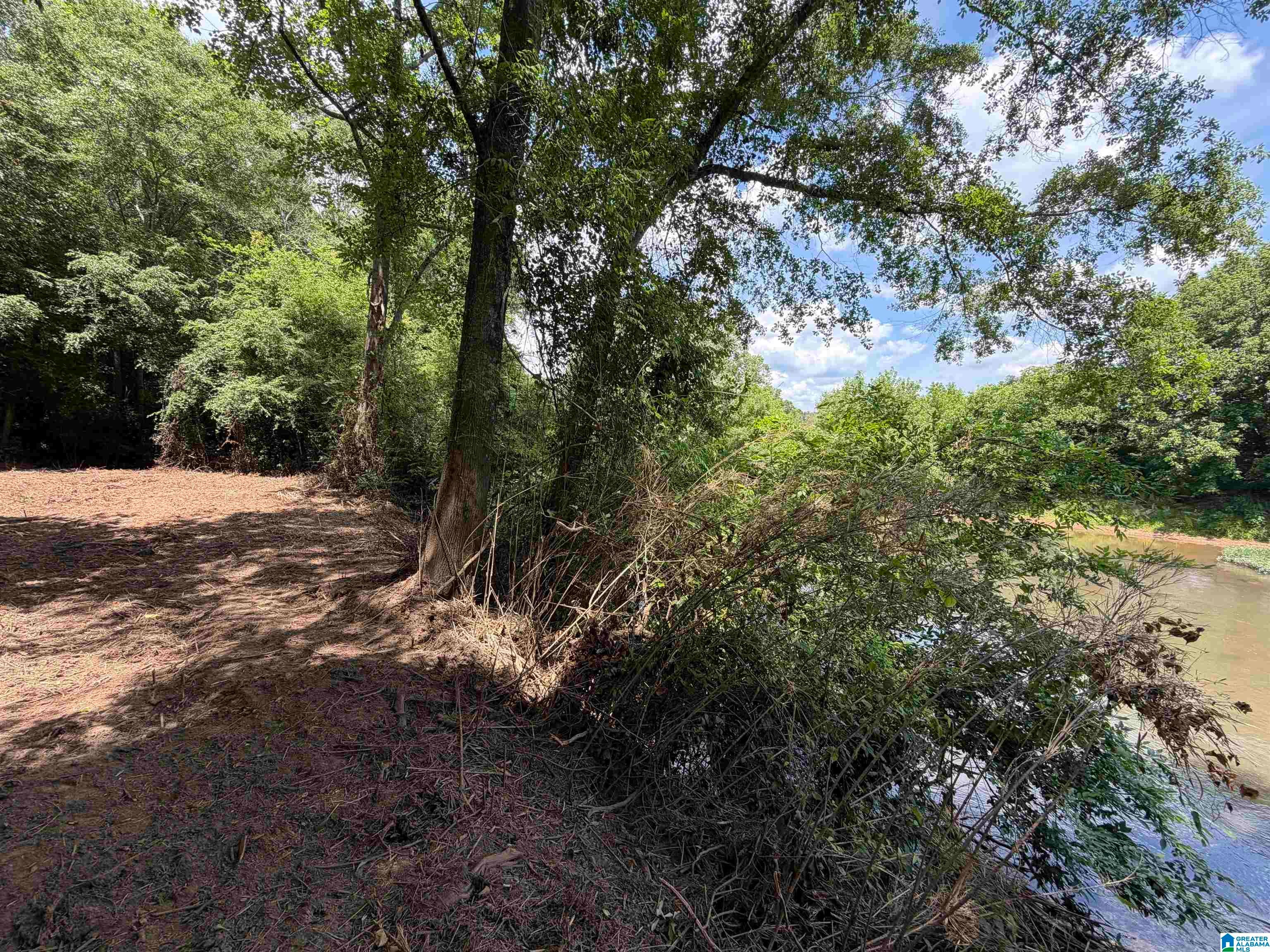 0 COUNTY ROAD 509 1