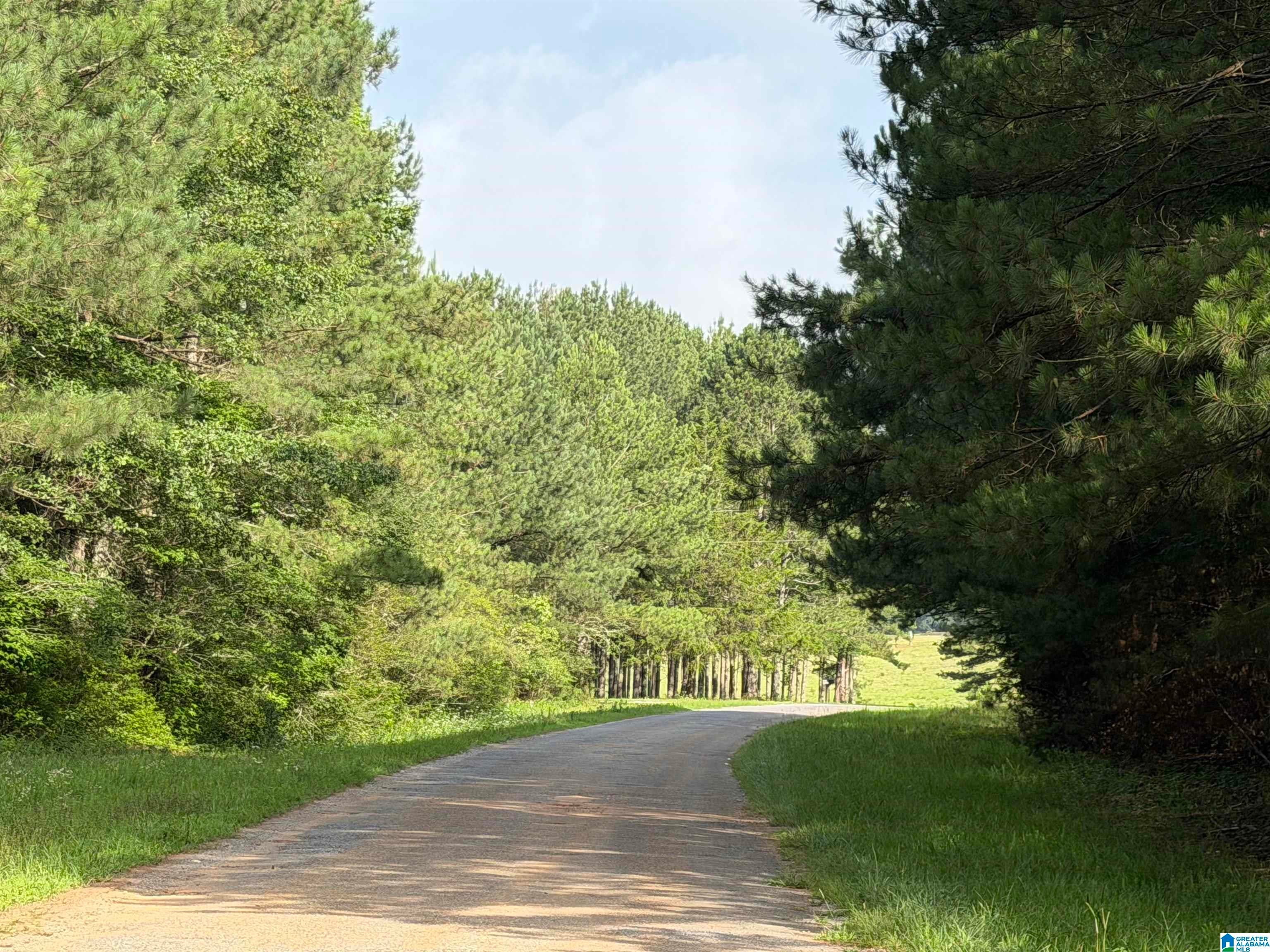 0 COUNTY ROAD 509 1