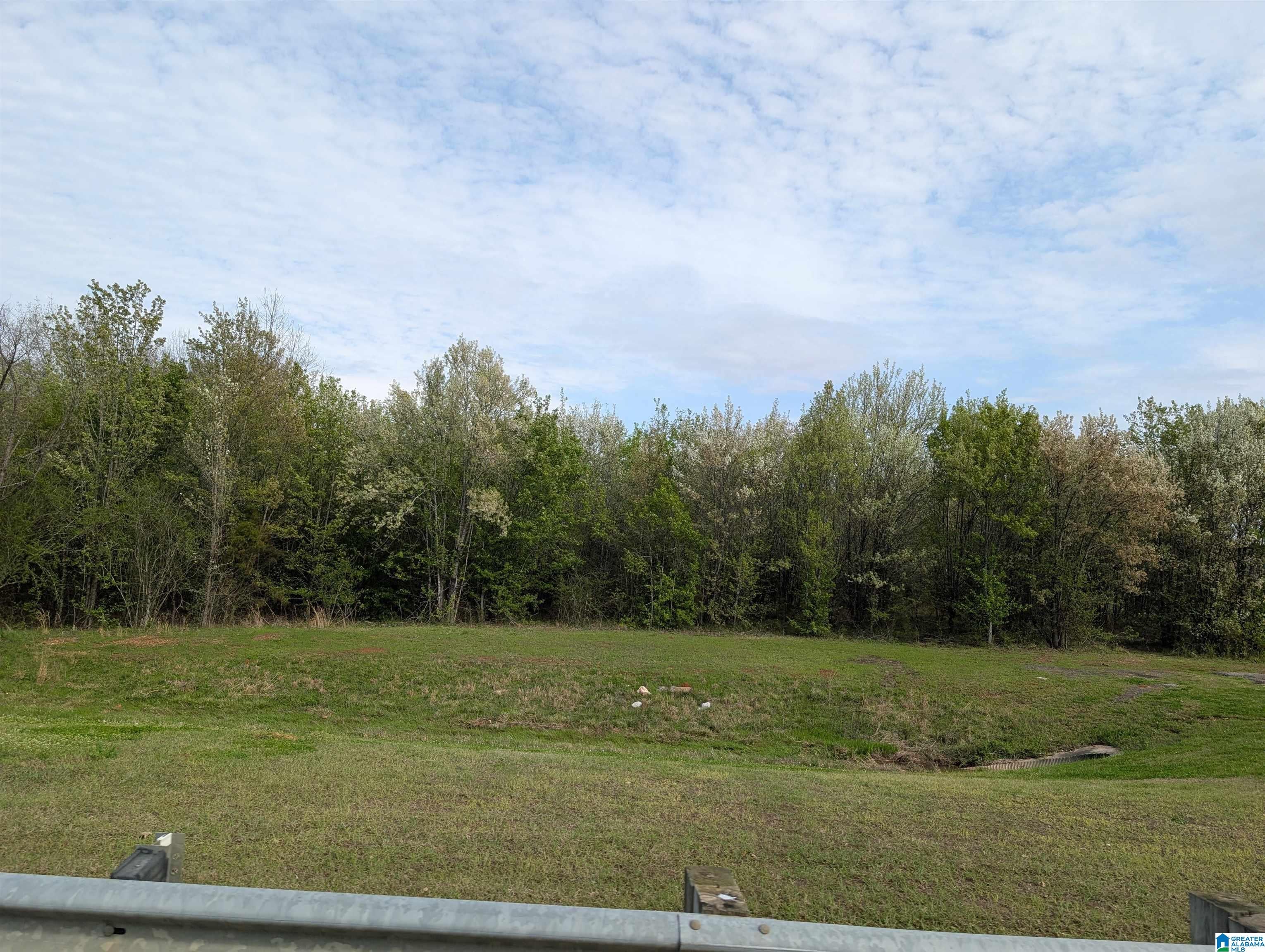 0 (4 acres) HIGHWAY 21 0
