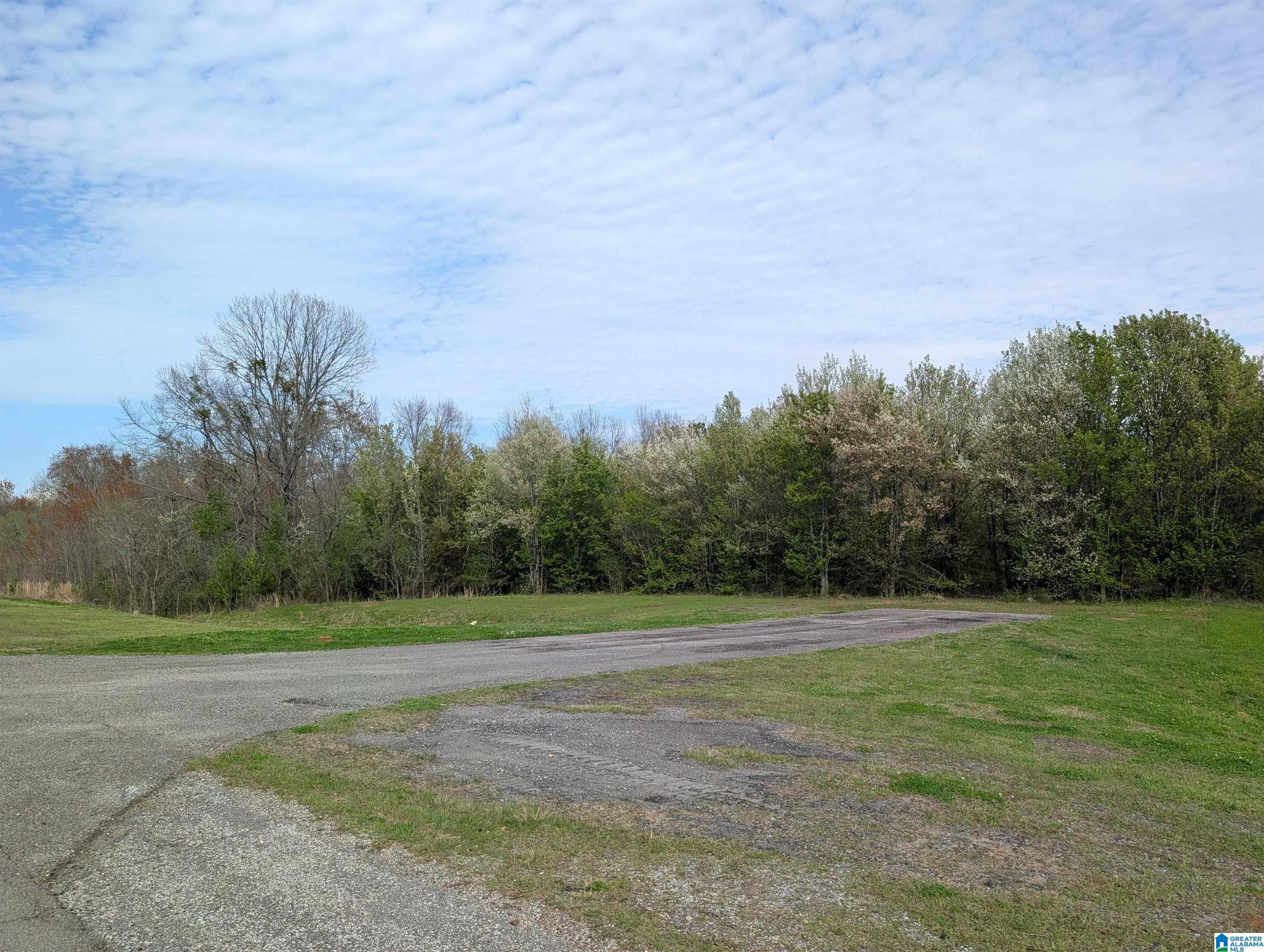 0 (4 acres) HIGHWAY 21 0