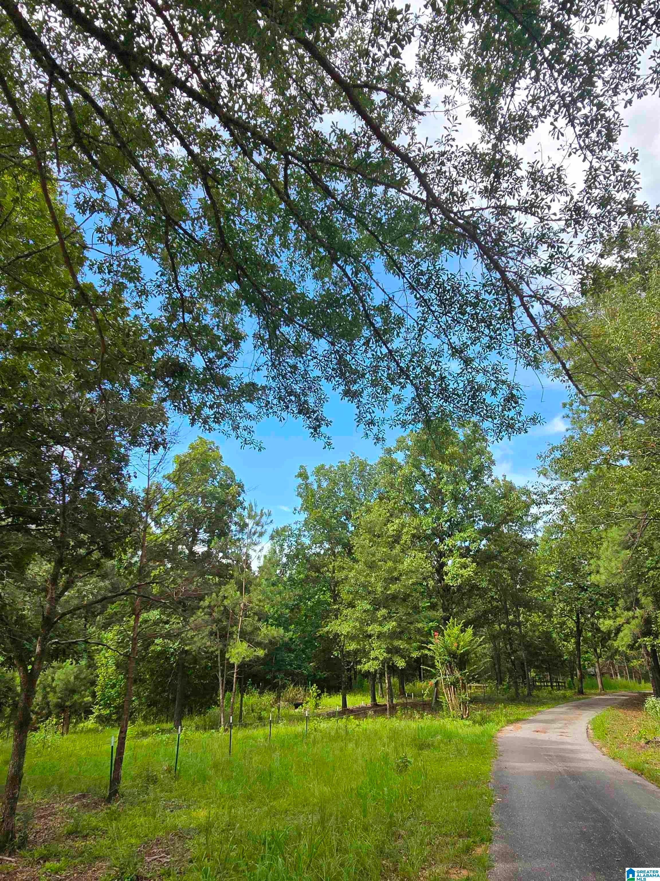 0 COUNTY ROAD 73 1