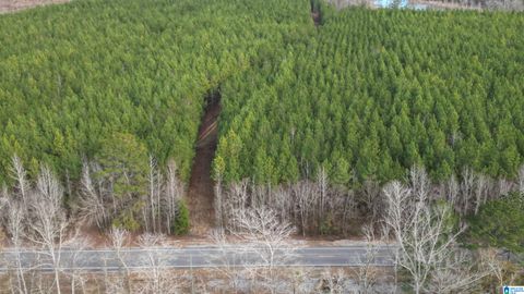 6342 SELMA ROAD 1 CENTREVILLE AL 35042