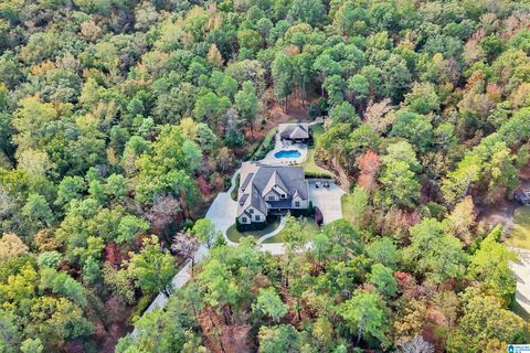 317 OAK MOUNTAIN CREST WAY PELHAM AL 35124