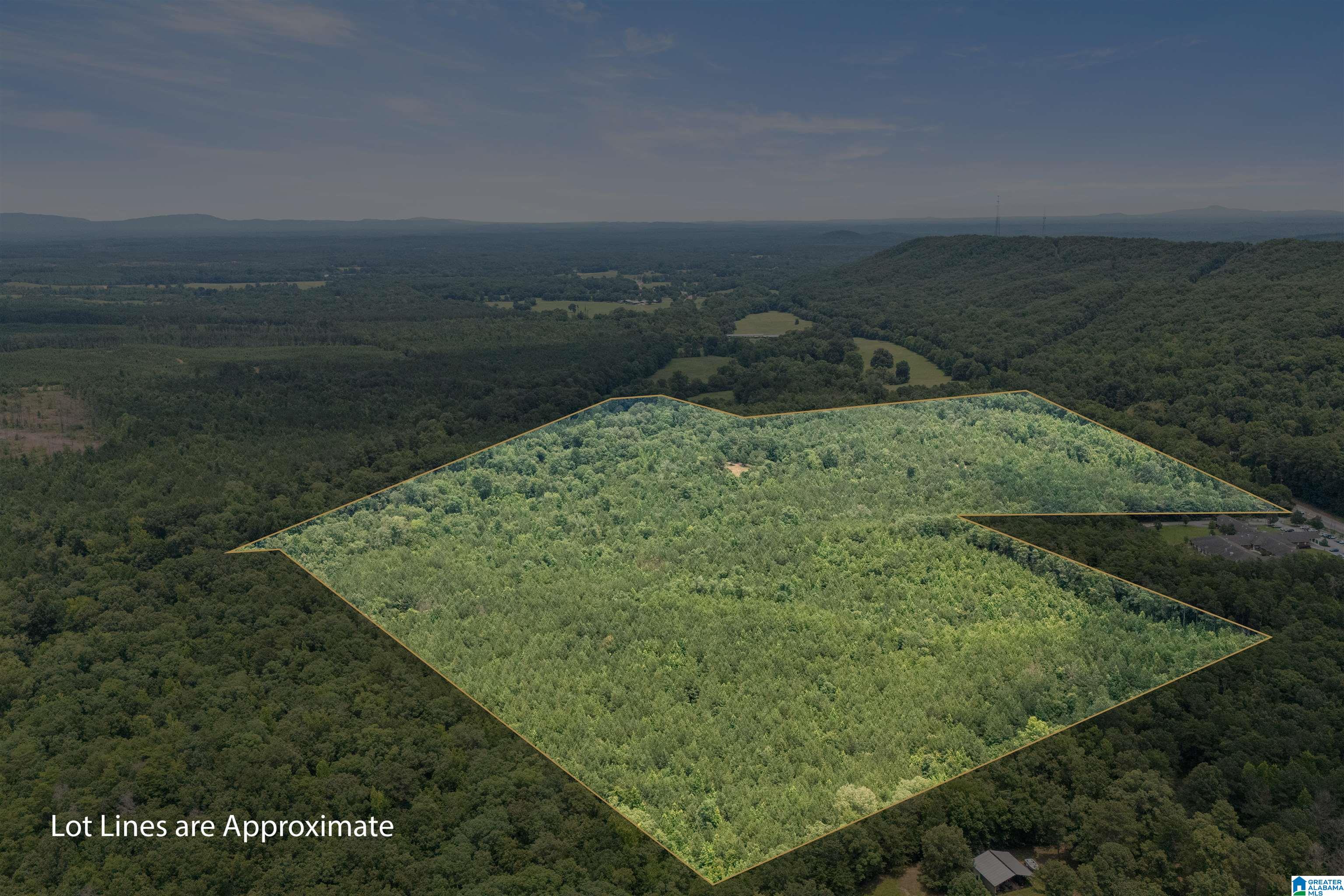 Photo 1 of 28 — 23035 HIGHWAY 25 1, COLUMBIANA, AL 35051
