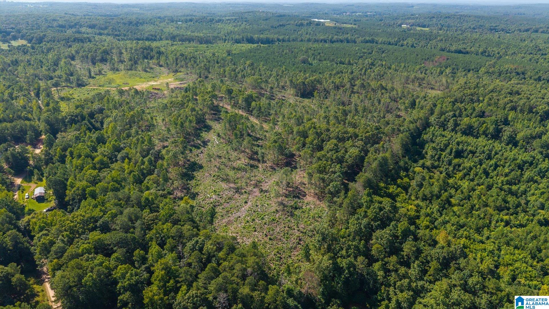 0 COUNTY ROAD 404 Tract 1