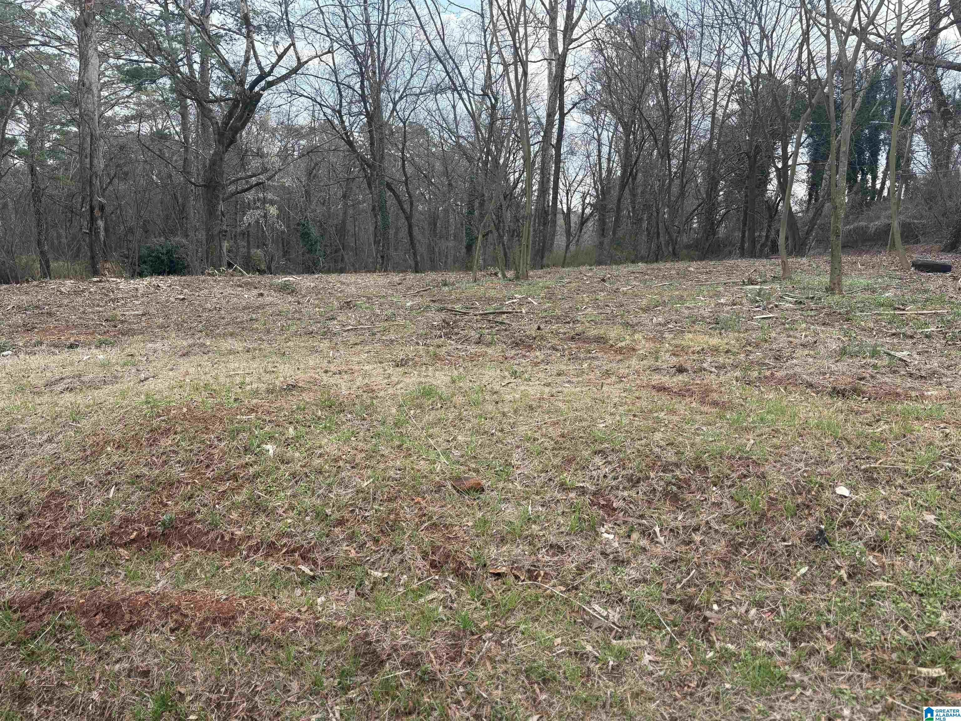 9149 ZION CITY ROAD R 3 - Photo 2