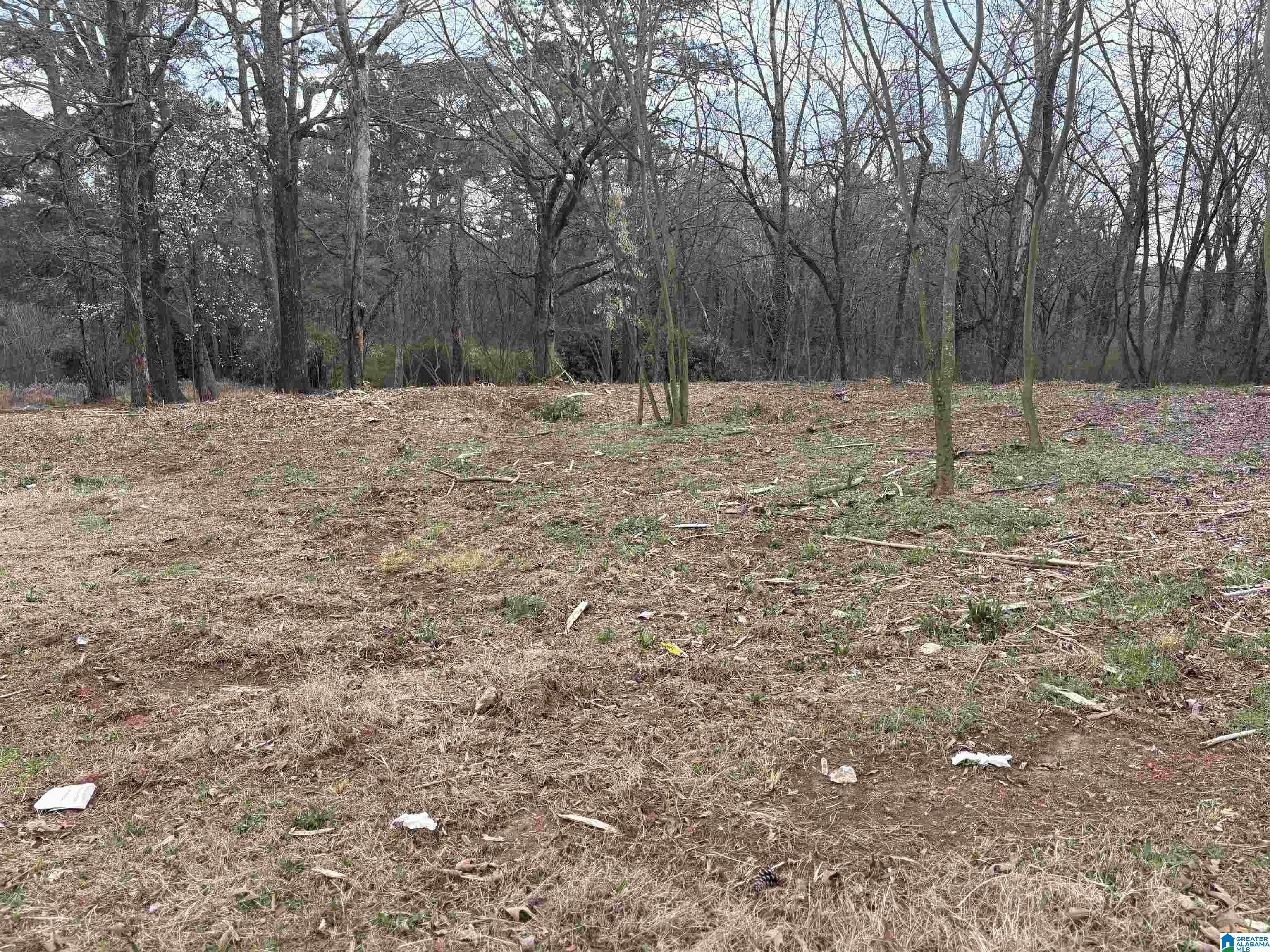 9149 ZION CITY ROAD R 3 - Photo 3