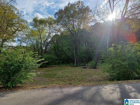 1408 ILLINOIS STREET 20 & 21 LEEDS AL 35094