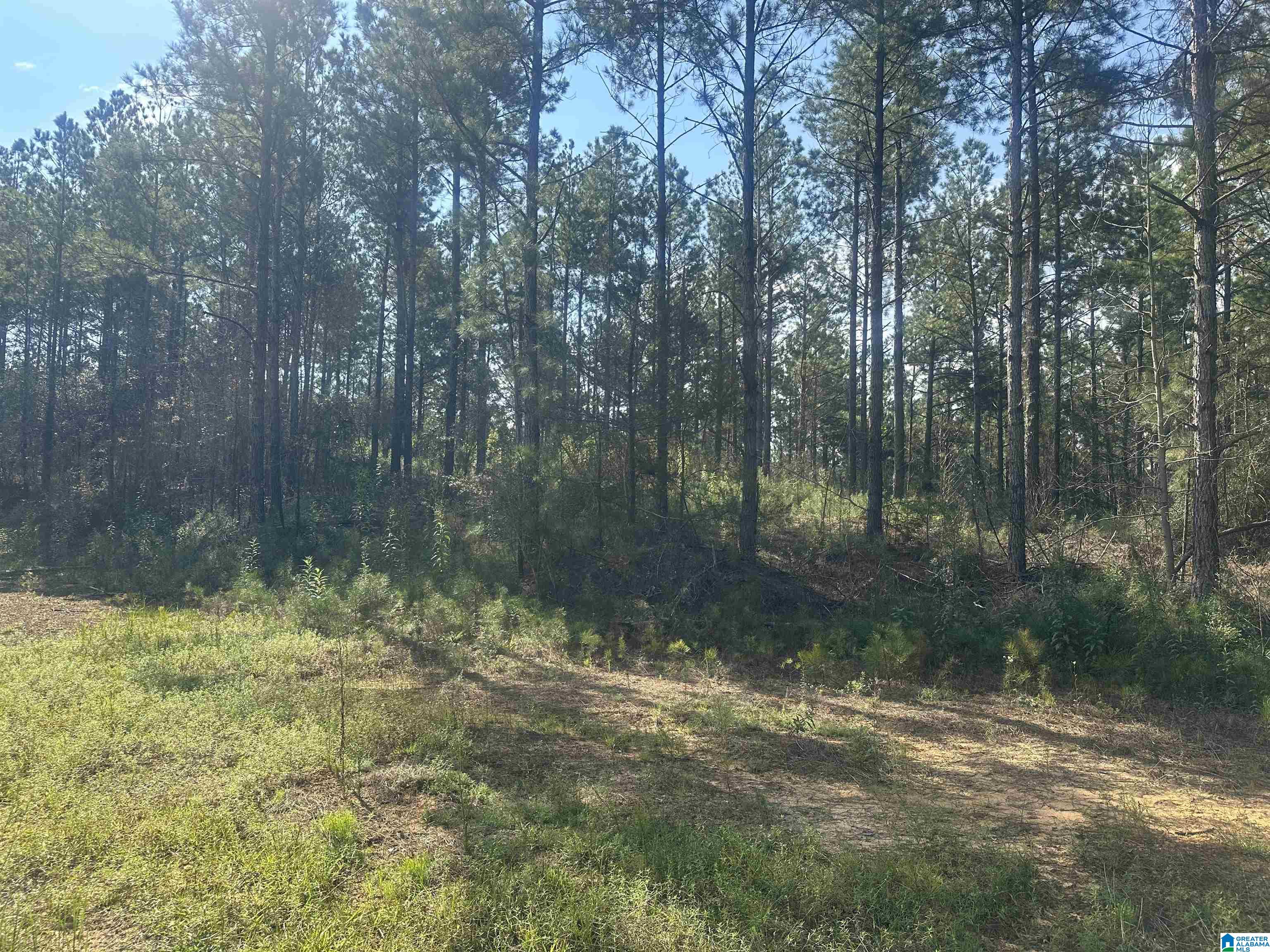 0 COUNTY ROAD 336 NA - Photo 4