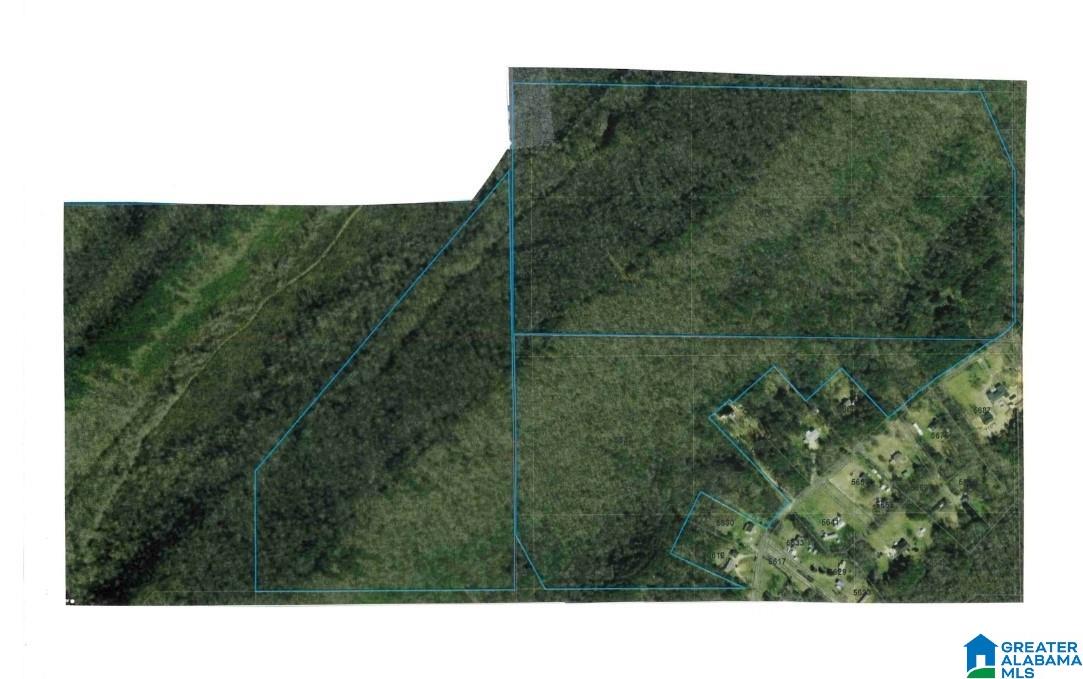 5388 RED HOLLOW ROAD