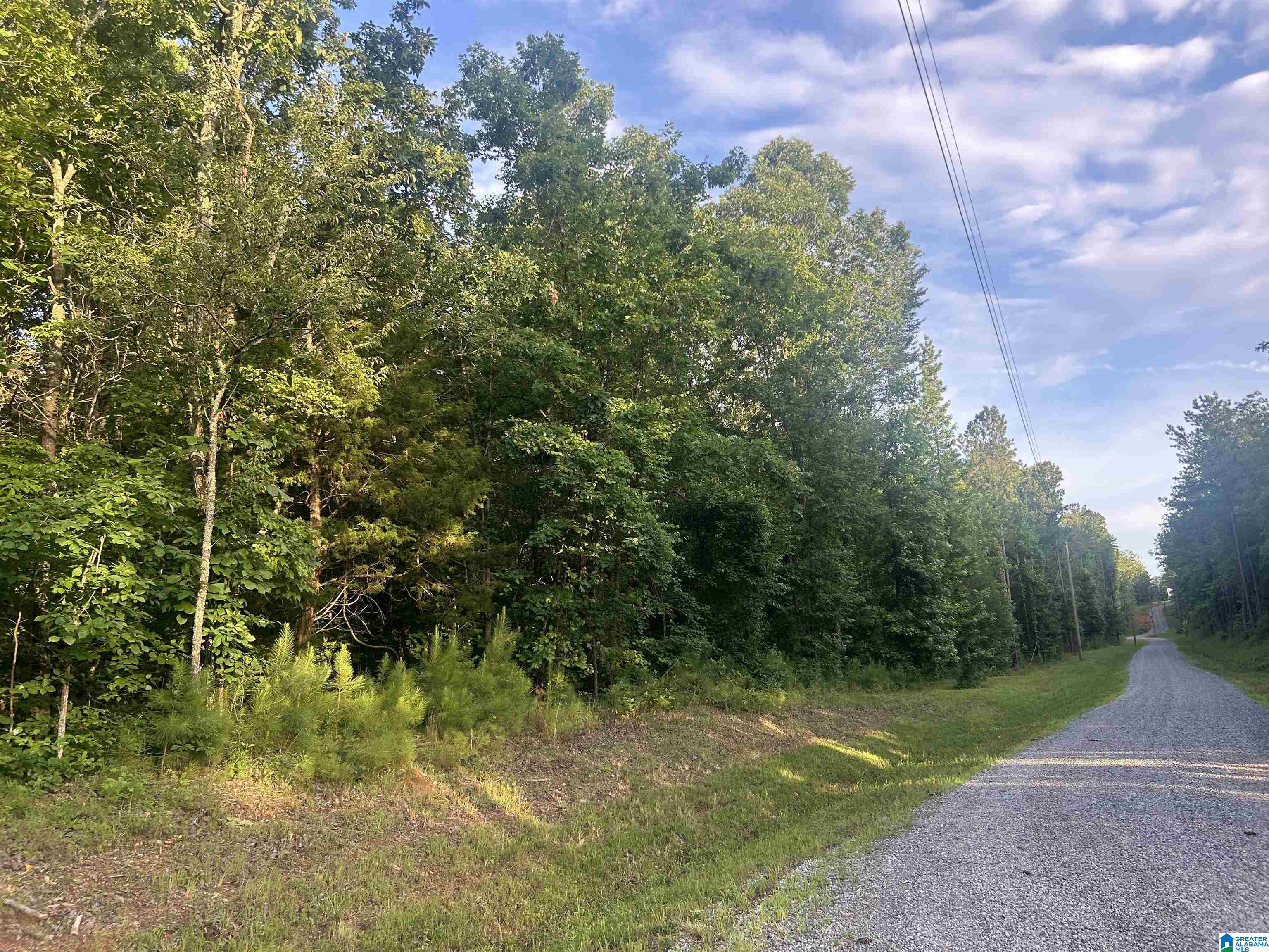 Photo 1 of 14 — 0 SUMMERSET LANE none, MUNFORD, AL 36268