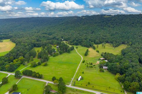 1187 CRAWFORDS COVE ROAD SPRINGVILLE AL 35146