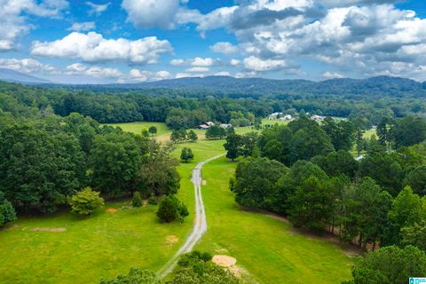 1187 CRAWFORDS COVE ROAD SPRINGVILLE AL 35146