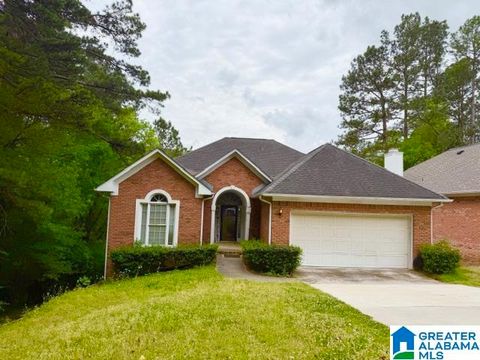 5041 LAKEVIEW CIRCLE BIRMINGHAM AL 35244