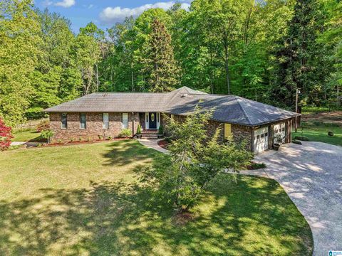 Photo of 1680 Highway 174, SPRINGVILLE, AL 35146 (MLS # 21451766)