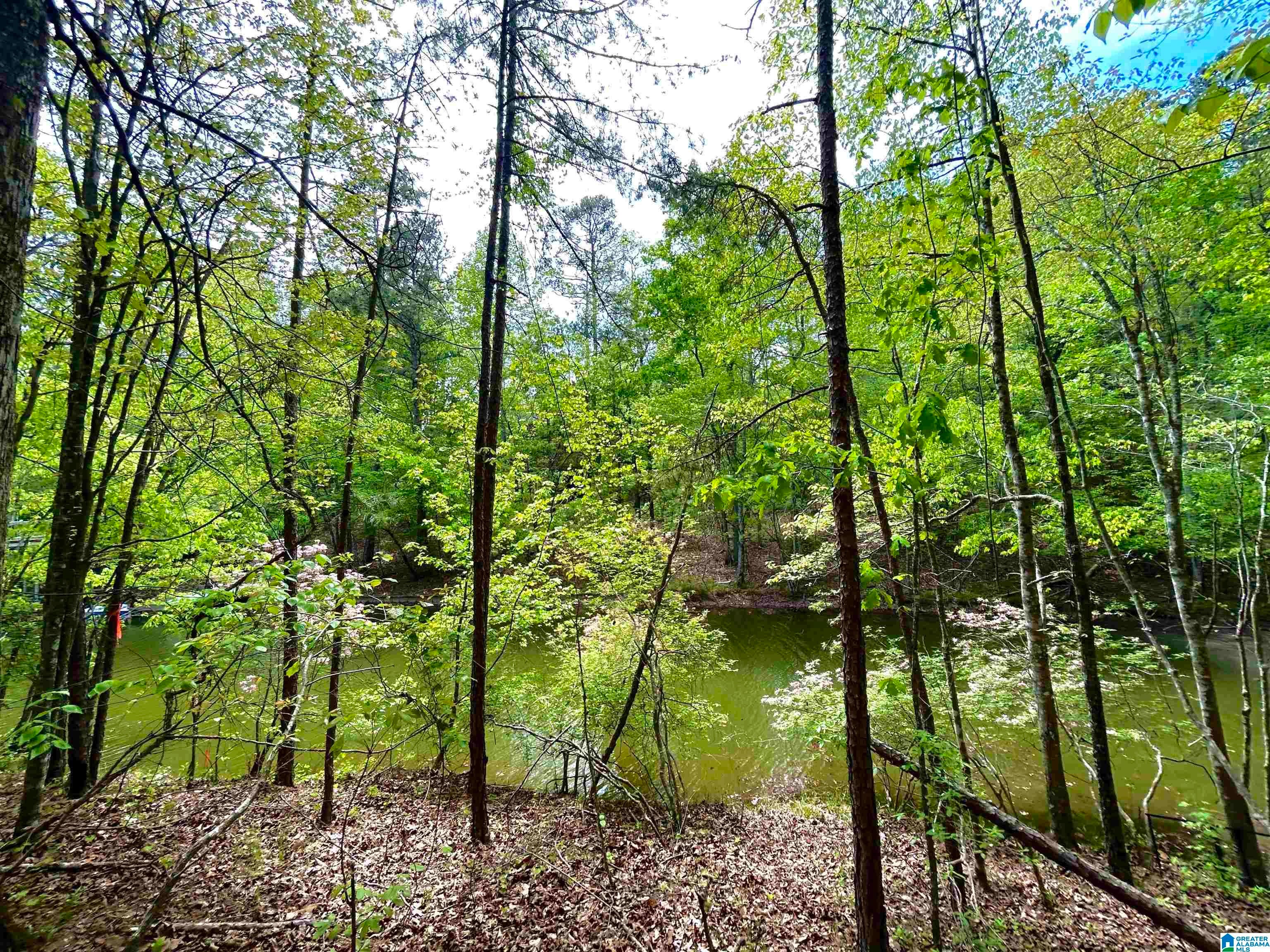 Lot 127 POST OAK ROAD 127