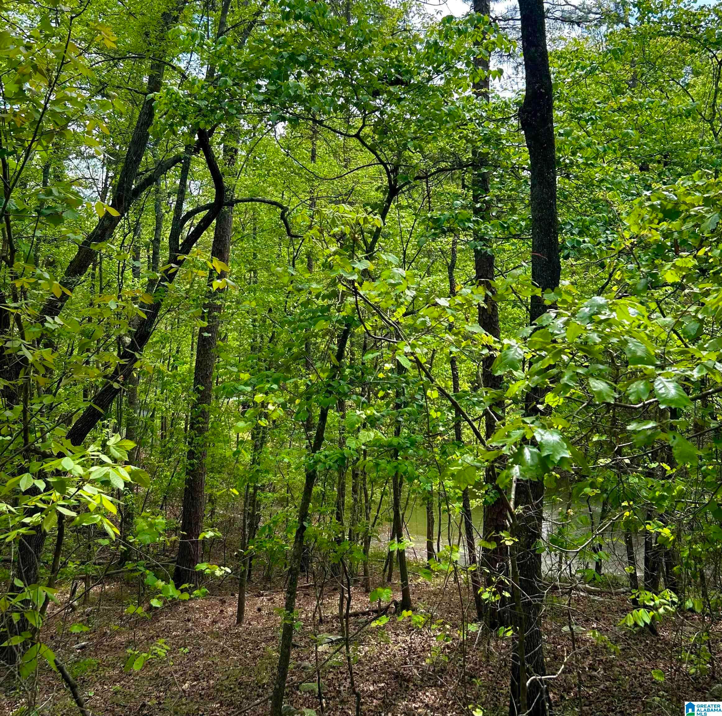 Lot 127 POST OAK ROAD 127