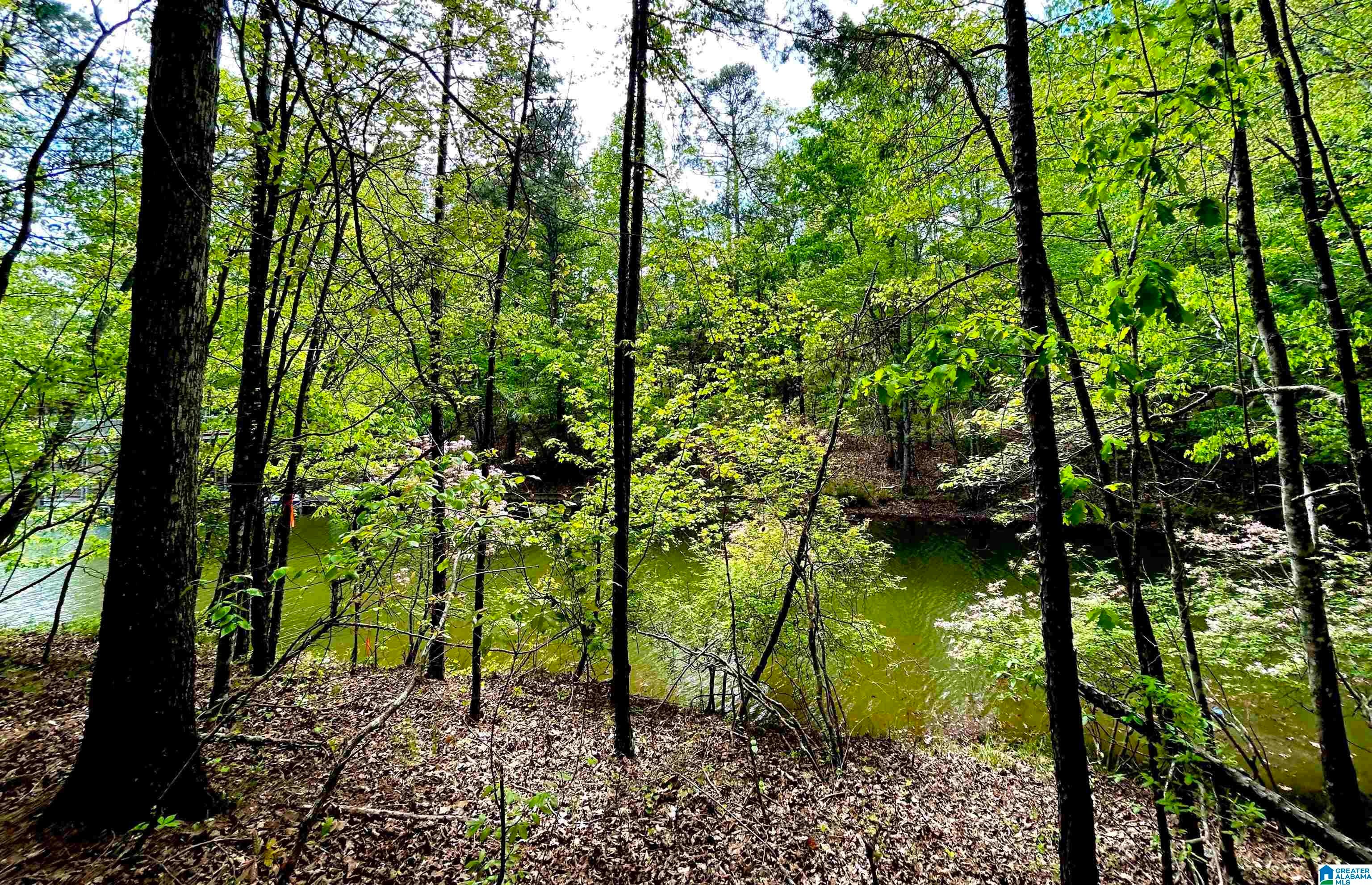 Lot 127 POST OAK ROAD 127
