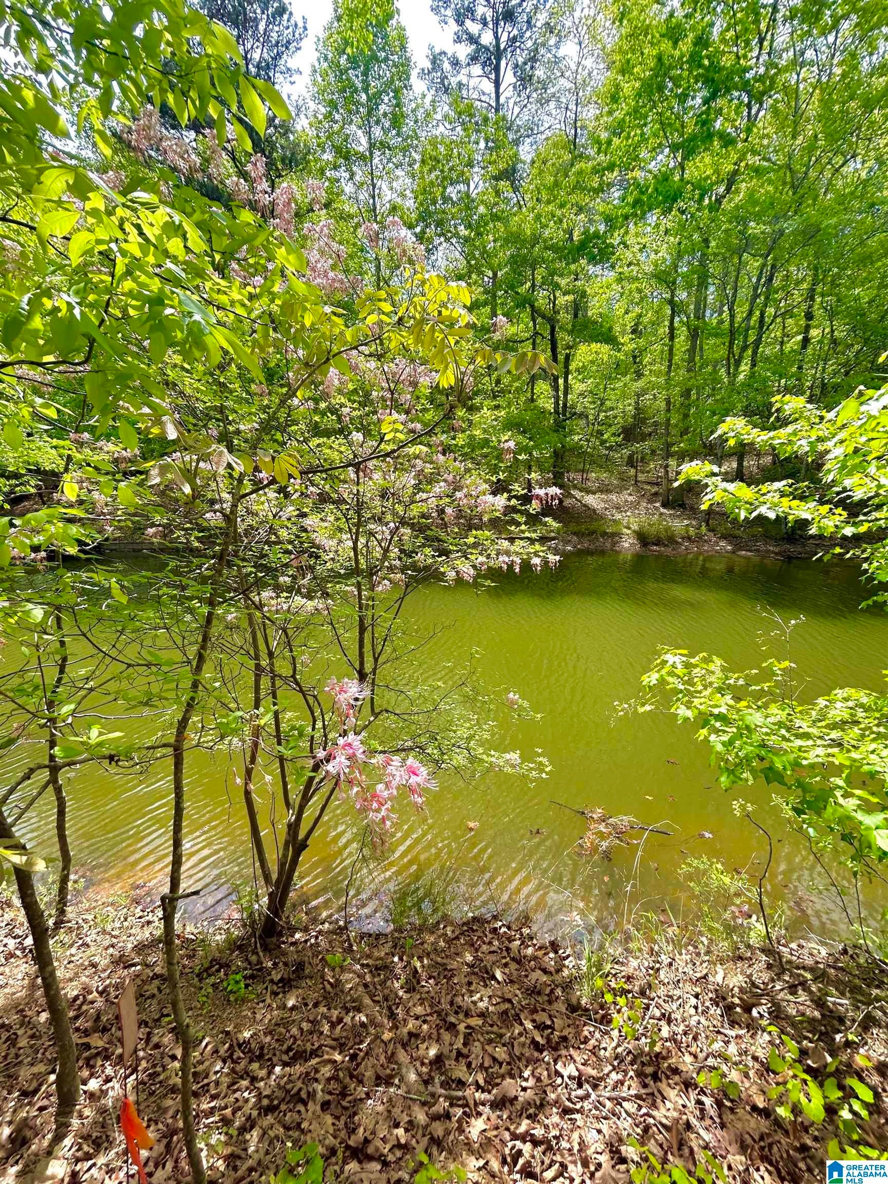 Lot 127 POST OAK ROAD 127