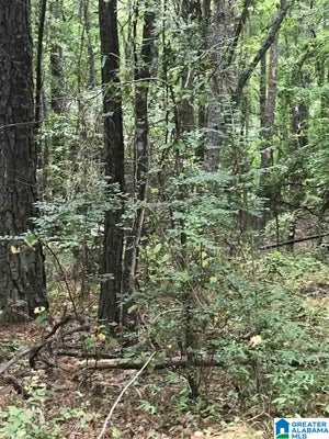 50 ALPINE RANCH RD, ALPINE, AL 35014 - Image 0bc84d16d5df1e0760c78b43fe347886/68174591