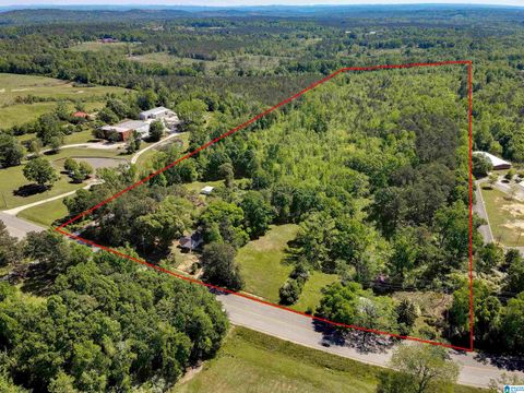 1924 LAY DAM ROAD CLANTON AL 35045