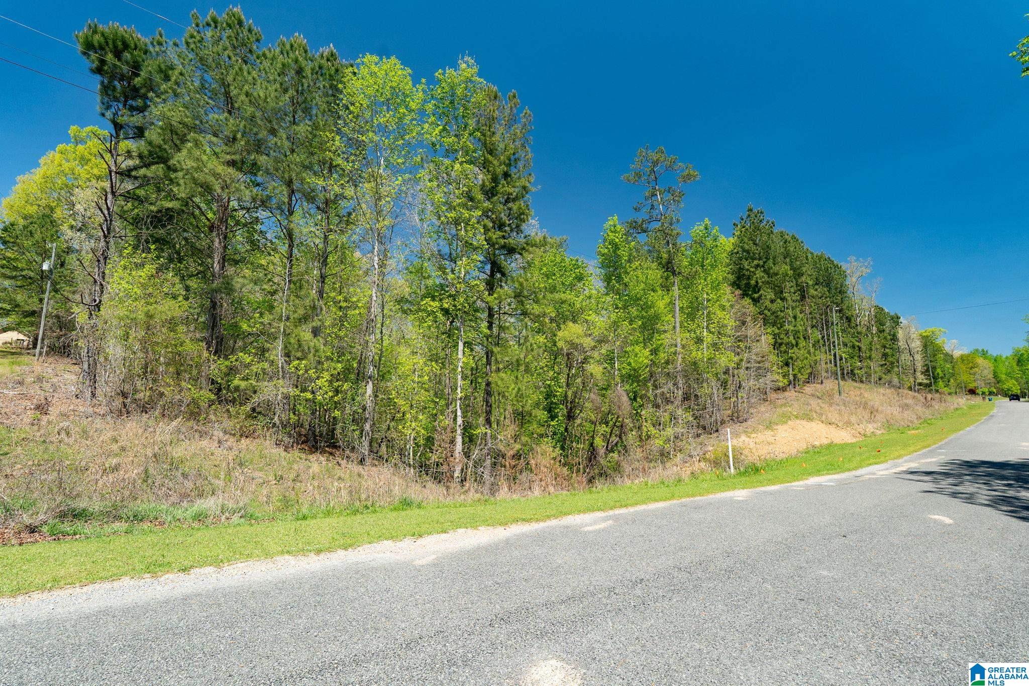 620 MOUNTAIN CREST DRIVE Lot 13 and 14