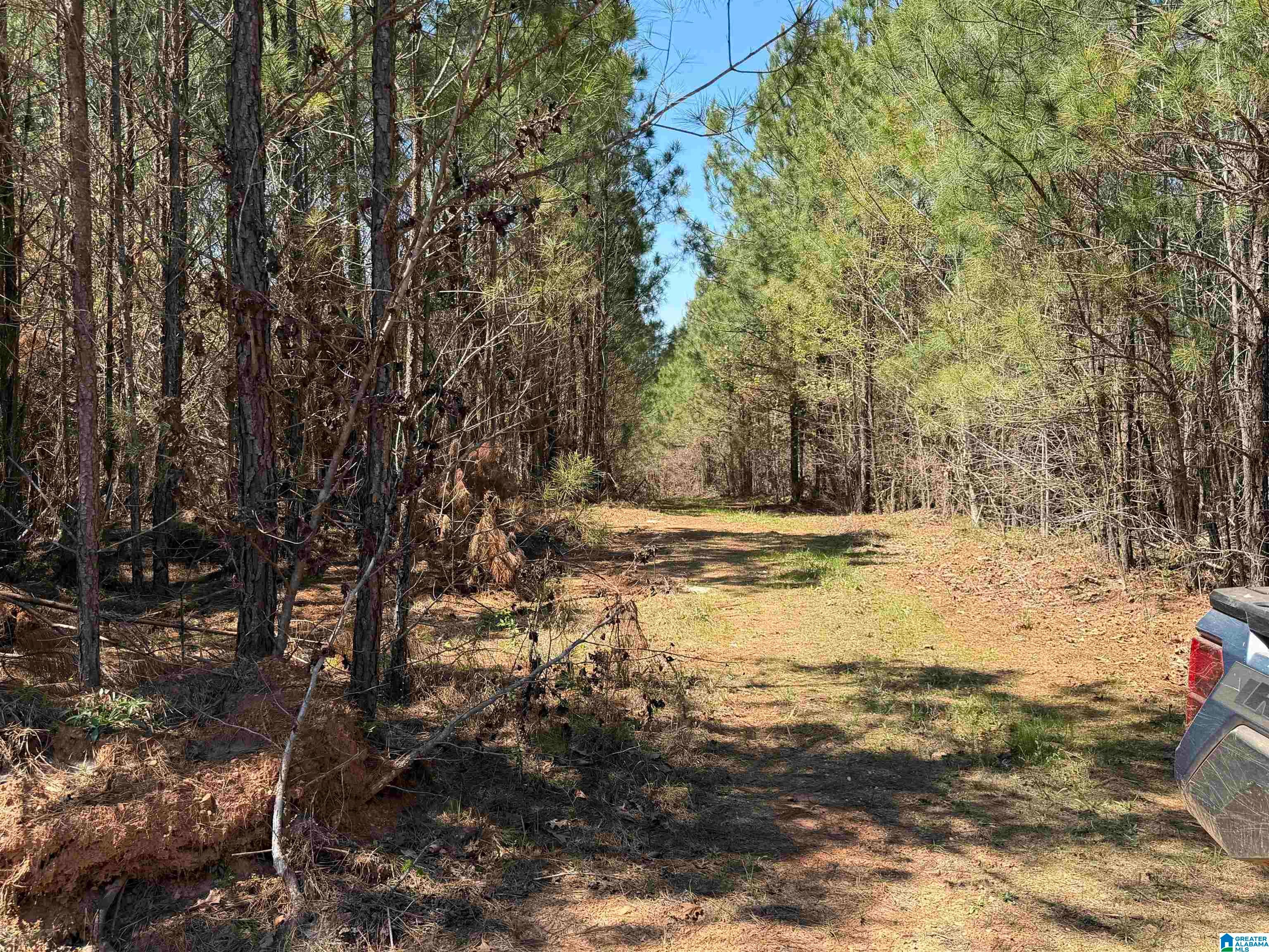 0 COUNTY ROAD 79 1