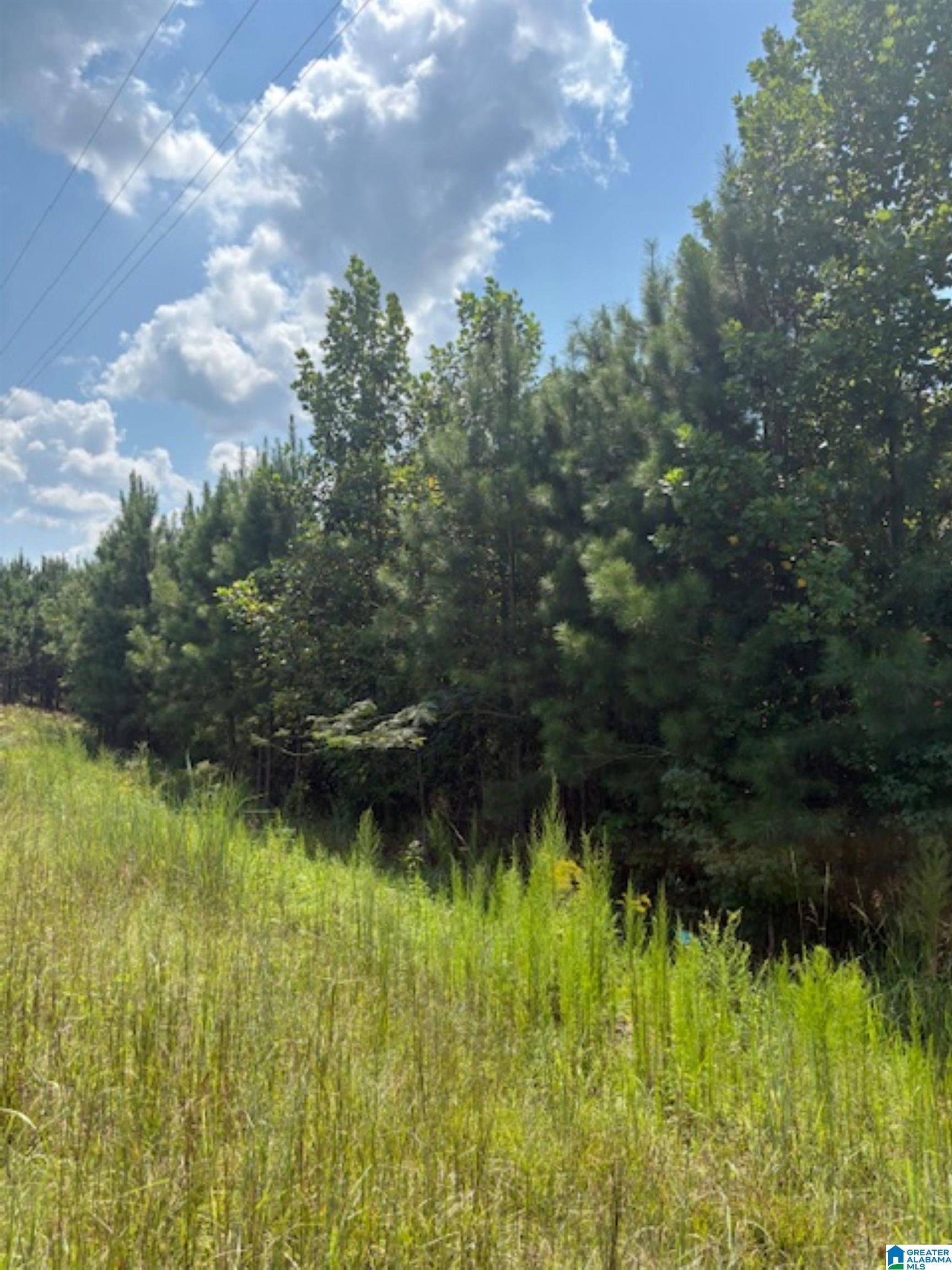 COUNTY ROAD 472 3 - Photo 2